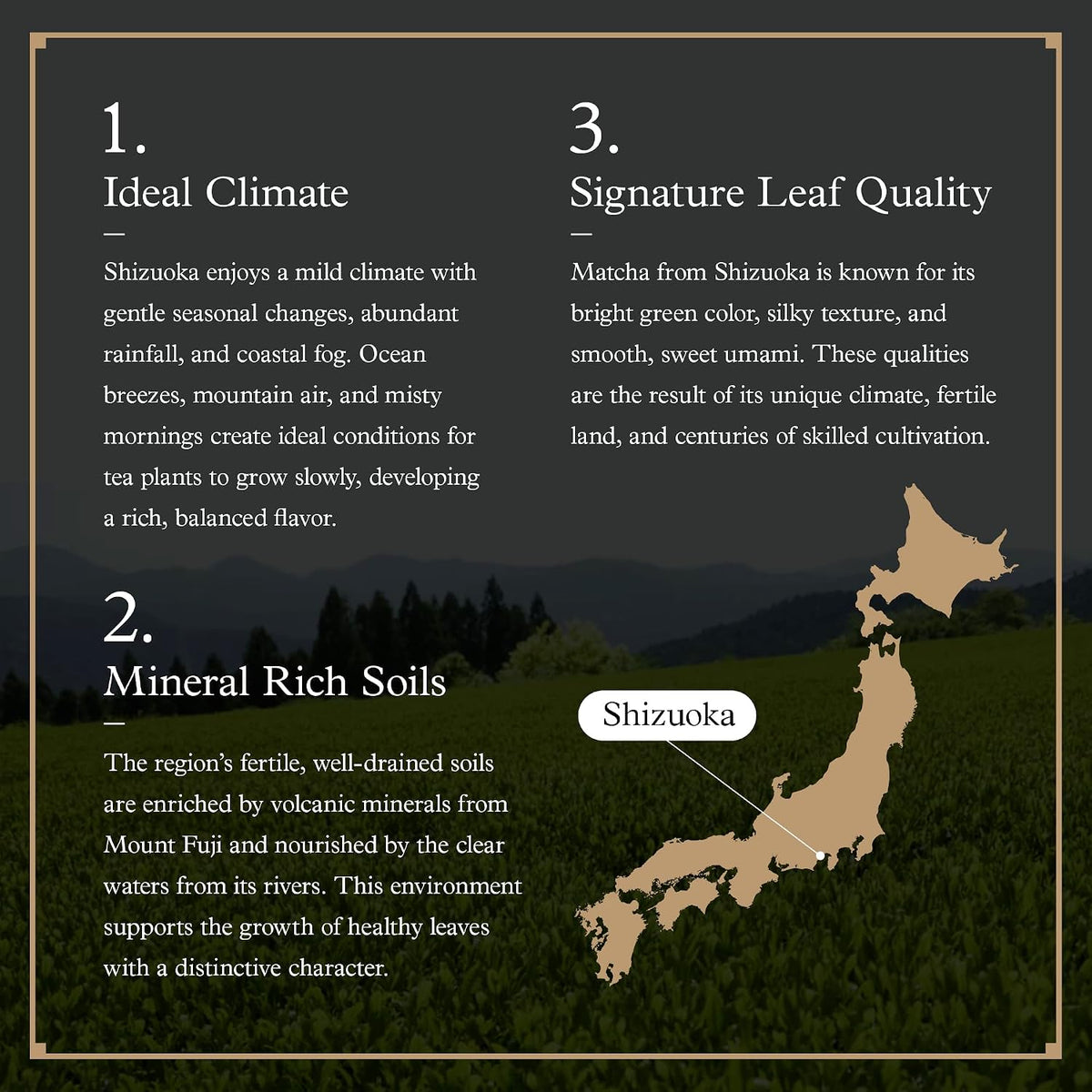 Ocha & Co. Shizuoka Matcha - Ceremonial Grade - Japanese First-Harvest Matcha Green Tea Powder, Traditionally Stone-Milled, 50g.
