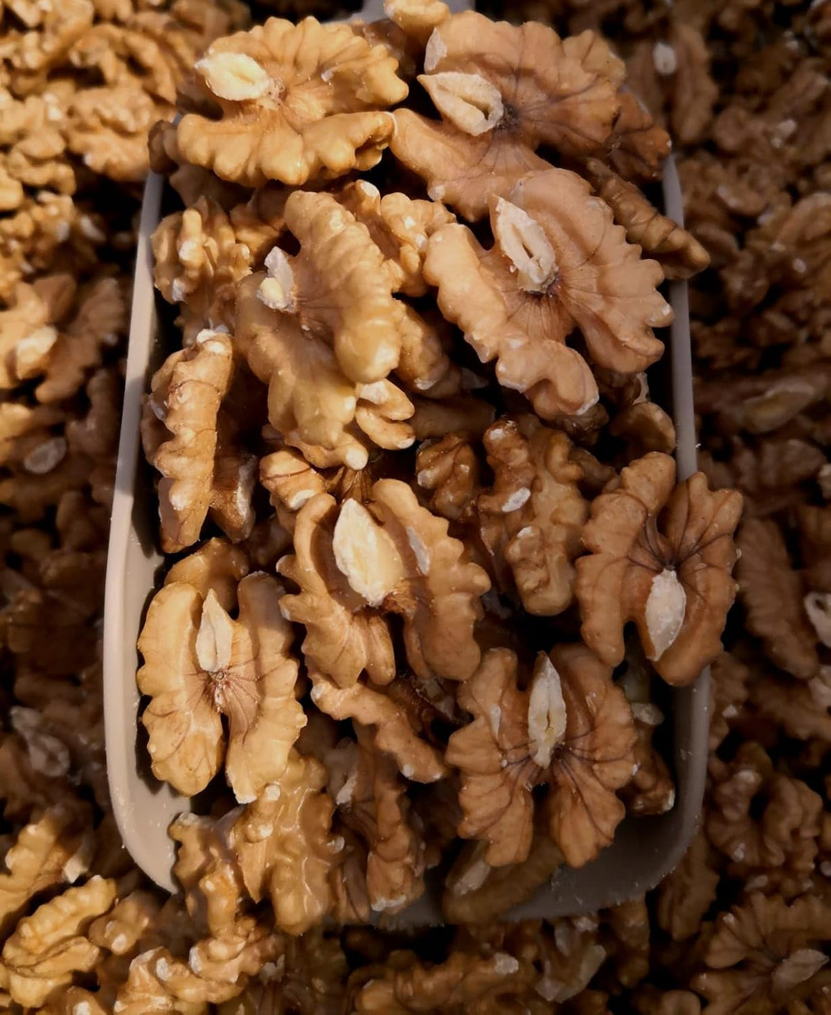 Dorri - Raw Mixed Nuts 1kg | Premium Quality, Healthy Snack, Almond, Brazils, Cashew, Hazelnuts, Pecans, Pistachio Kernel & Walnut (Available from 100g to 5kg)