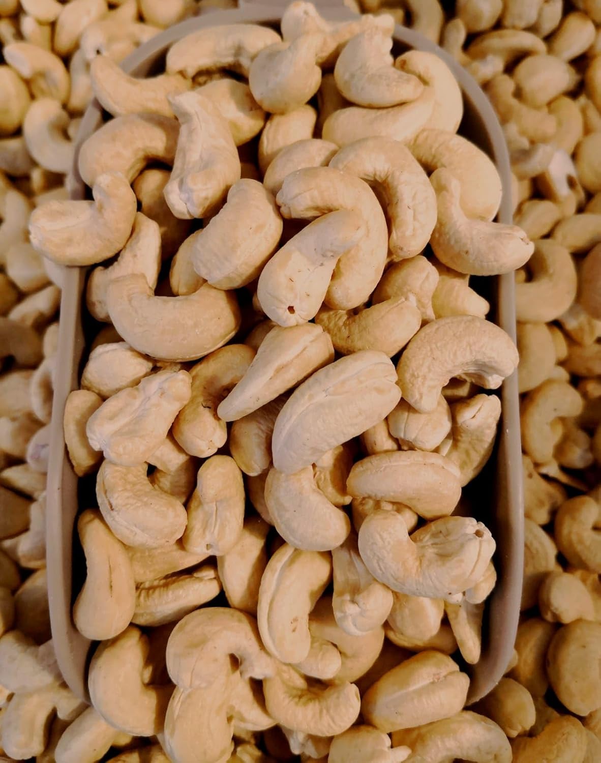 Dorri - Raw Mixed Nuts 1kg | Premium Quality, Healthy Snack, Almond, Brazils, Cashew, Hazelnuts, Pecans, Pistachio Kernel & Walnut (Available from 100g to 5kg)