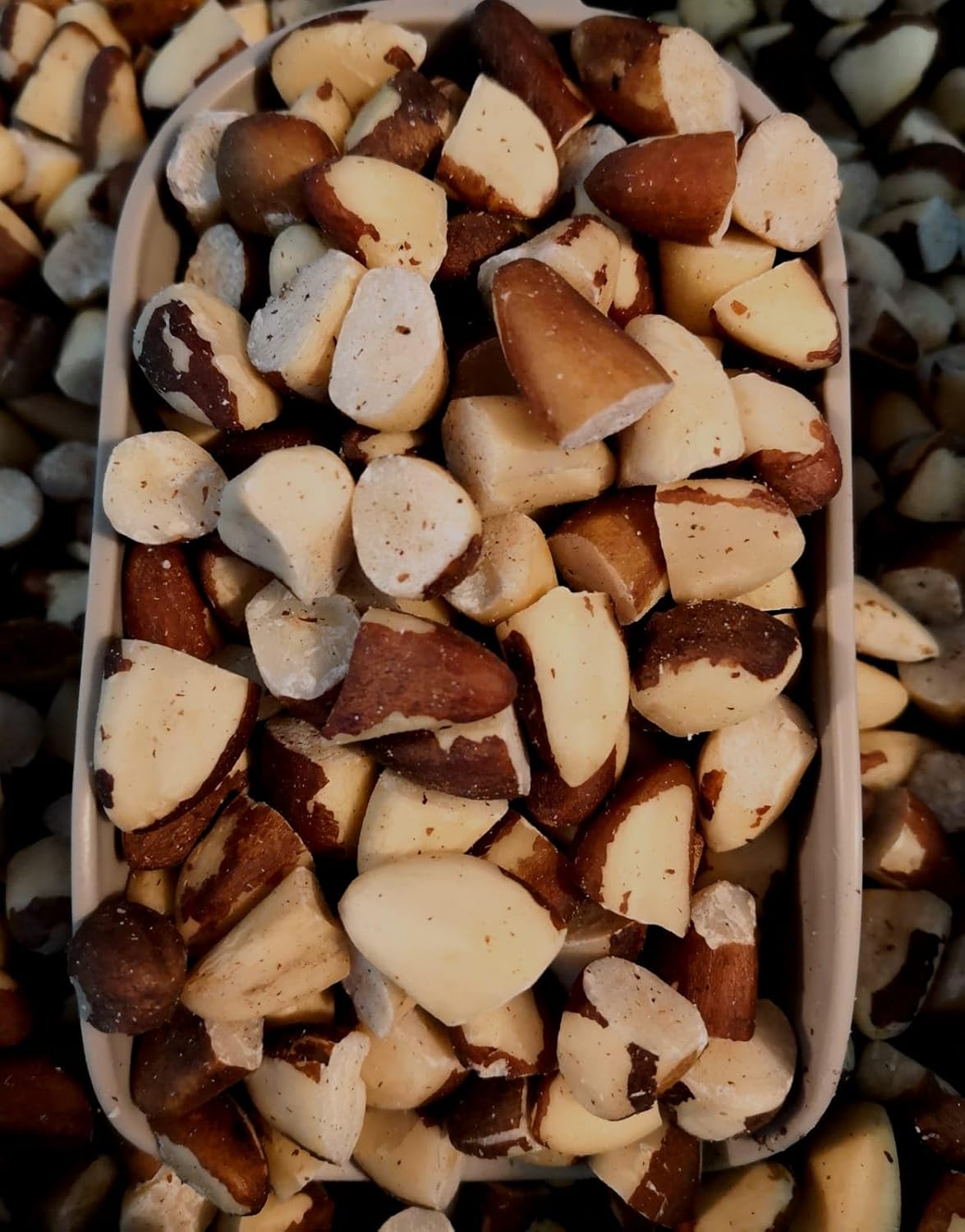 Dorri - Raw Mixed Nuts 1kg | Premium Quality, Healthy Snack, Almond, Brazils, Cashew, Hazelnuts, Pecans, Pistachio Kernel & Walnut (Available from 100g to 5kg)